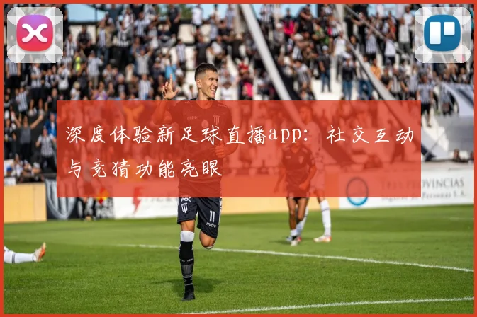 深度体验新足球直播app：社交互动与竞猜功能亮眼