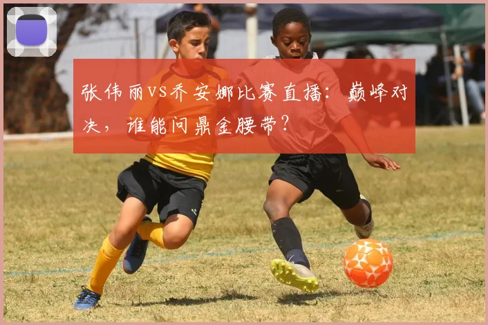 张伟丽vs乔安娜比赛直播：巅峰对决，谁能问鼎金腰带？
