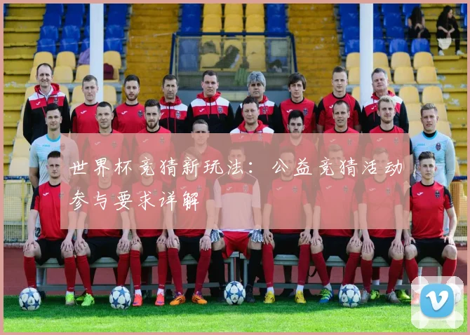 世界杯竞猜新玩法：公益竞猜活动参与要求详解
