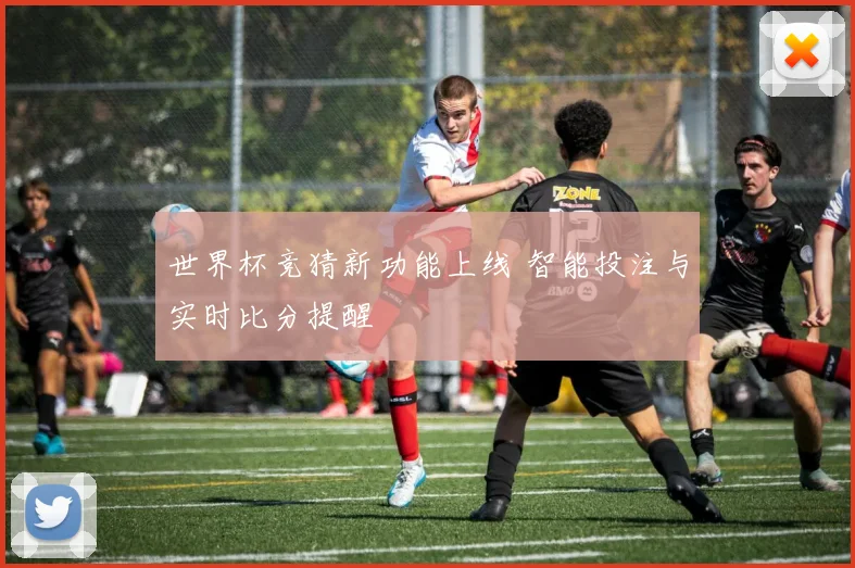 世界杯竞猜新功能上线 智能投注与实时比分提醒