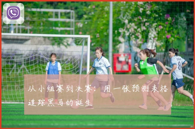 从小组赛到决赛:用一张预测表格追踪黑马的诞生